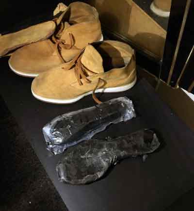 Drug boots